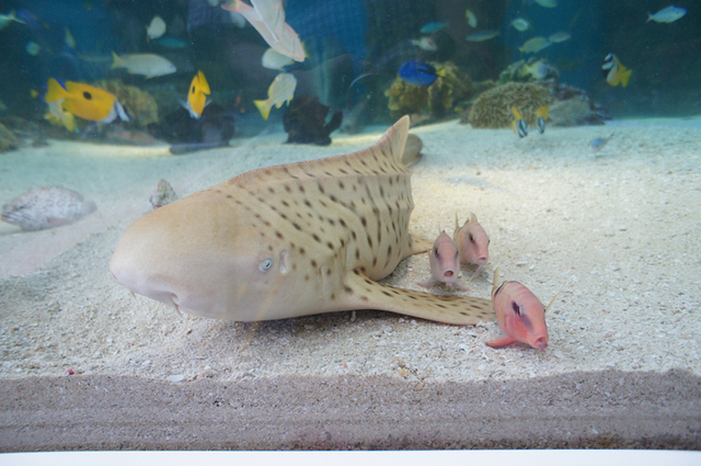 2012081802.jpg