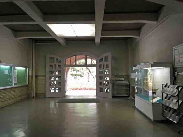 w image1 3.jpg